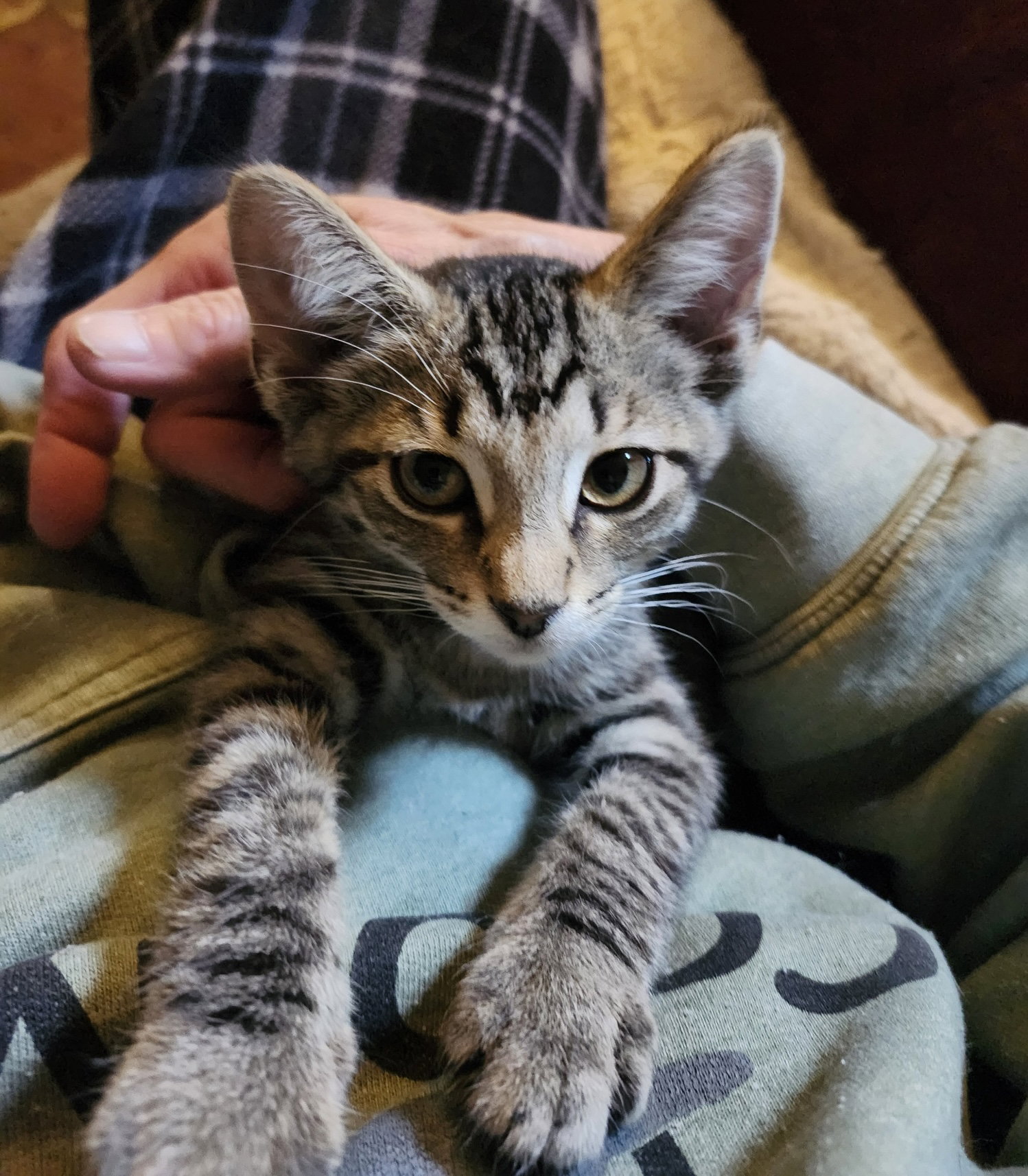 Tigger Image