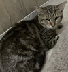 Darrel - Photo 2