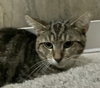 Darrel - Photo 5