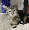 Darrel - Photo 4