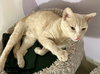 Darwin - Photo 2
