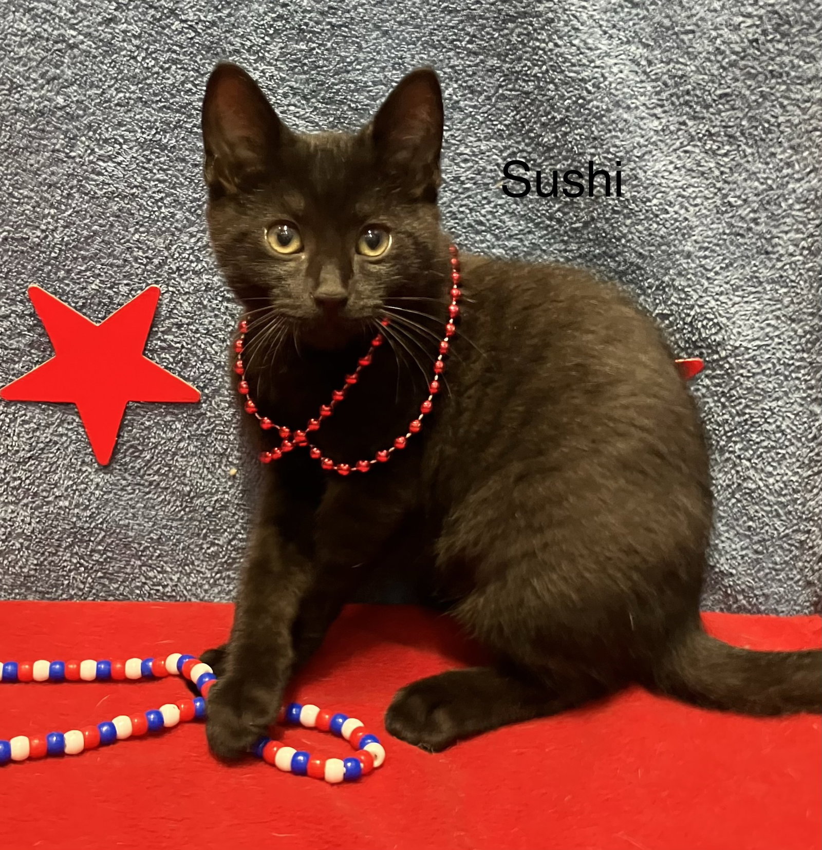 Sushi Image