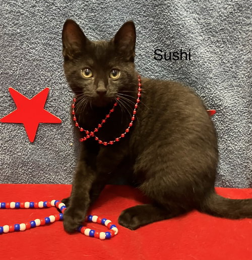 Sushi