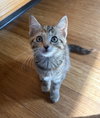 Mallory - Photo 1