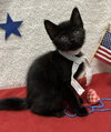 Jethro - Photo 4