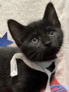 Jethro - Photo 1