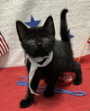 Jethro - Photo 3