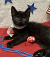 Jethro - Photo 5
