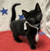 Jethro - Photo 2