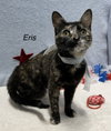 Eris - Photo 2