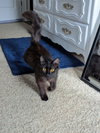 Milly - Photo 2