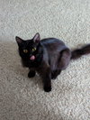 Milly - Photo 3