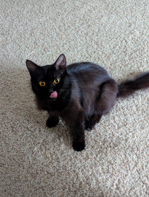Milly photo 3