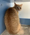 Cheddar Bob - Photo 3