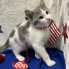Mousey - Photo 3