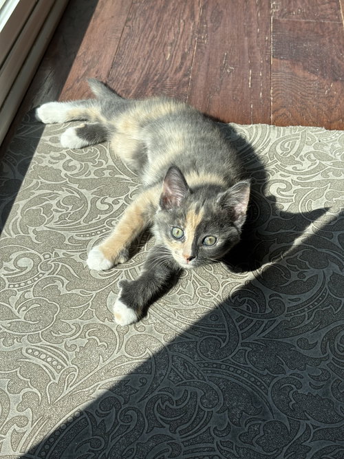Maeve photo 2