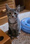 Burrito - Photo 5