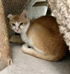 Marley - Photo 4