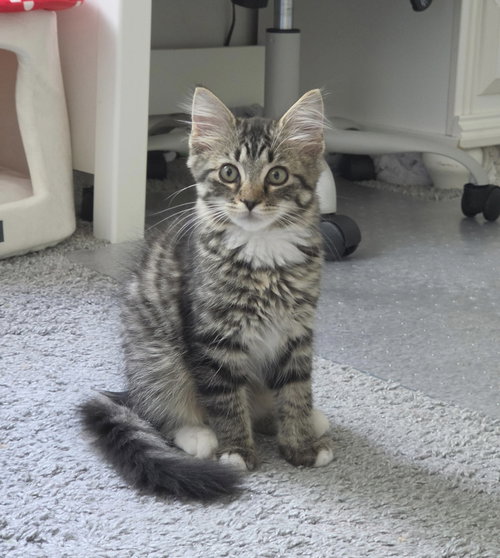 Lilly photo 3