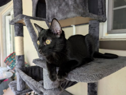Photo 4 of Fizzy (bonded to Martina)