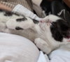 Martina (bonded with Fizzy) - Photo 4