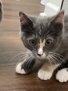 Daisy - Photo 7
