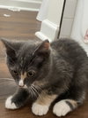 Daisy - Photo 8