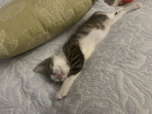 Morty photo 2