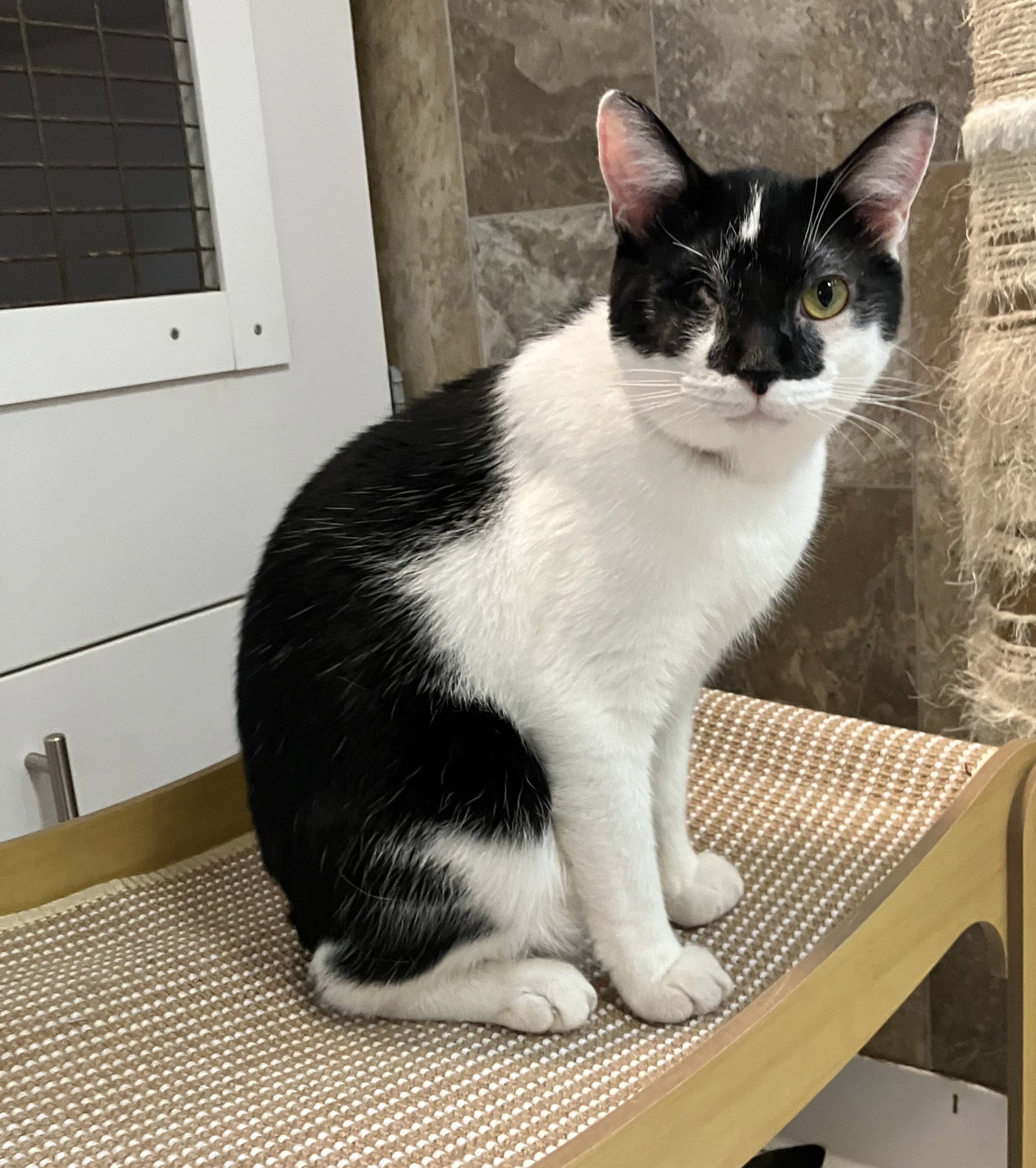 Tux