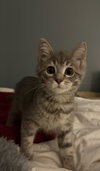 Honey - Photo 4