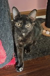 Velma - Photo 1