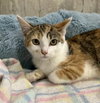 Madeline - Photo 1