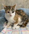 Madeline - Photo 4