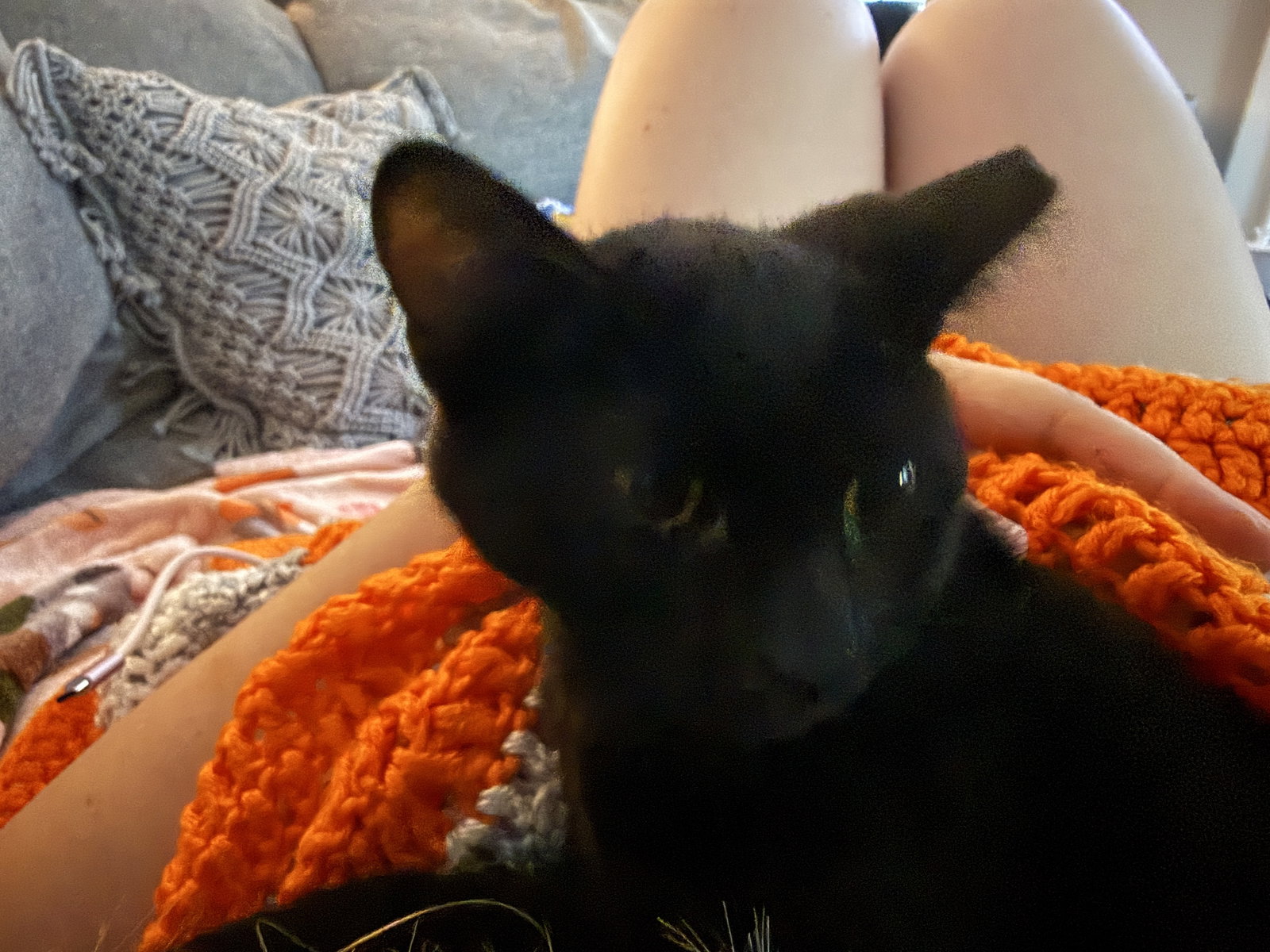 Biggie, photo 8