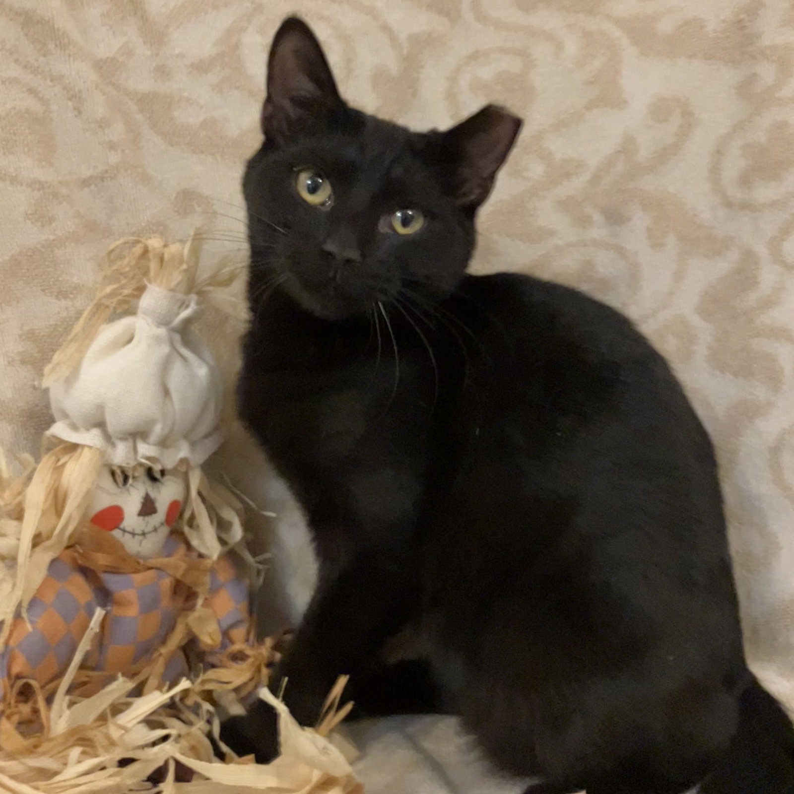 Biggie, photo 3