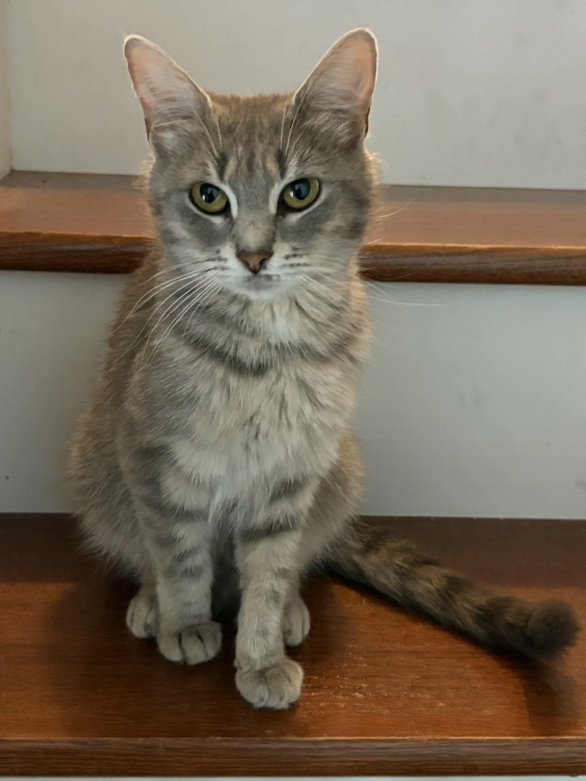 Mia image 2