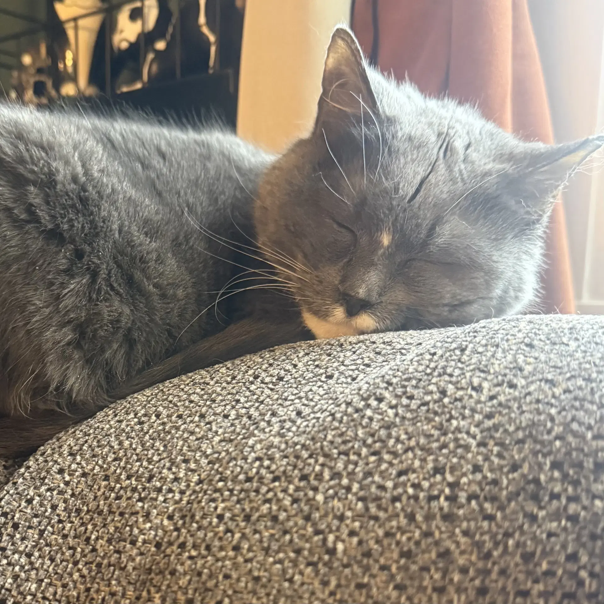 Bootsie image 3