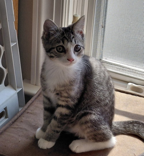 Photo 4 of Prudence