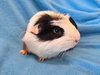 Bugsby & Mai - Photo 4