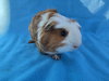 Mai & Bugsby - Photo 2