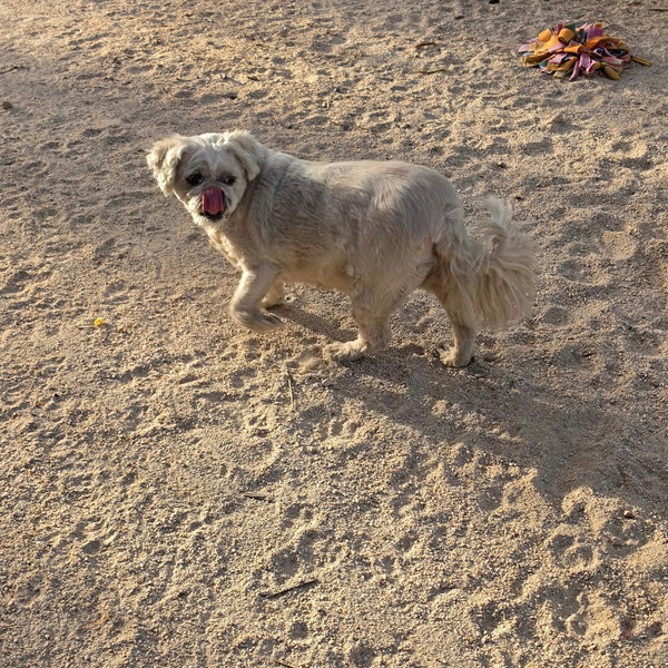 Meeko