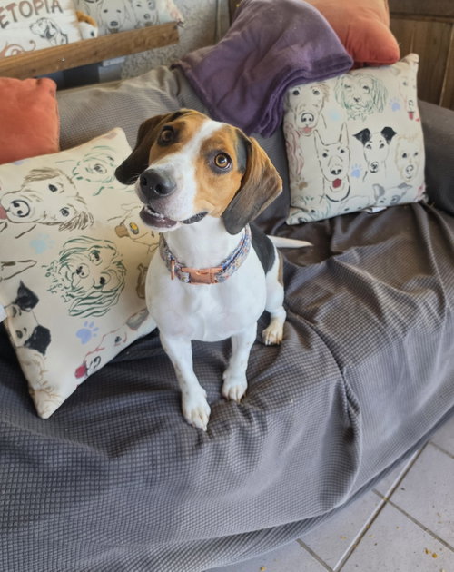 Delilah