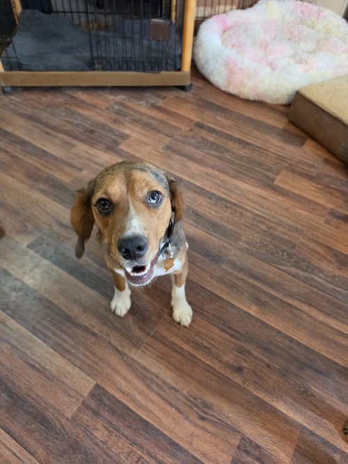 Truman photo 3