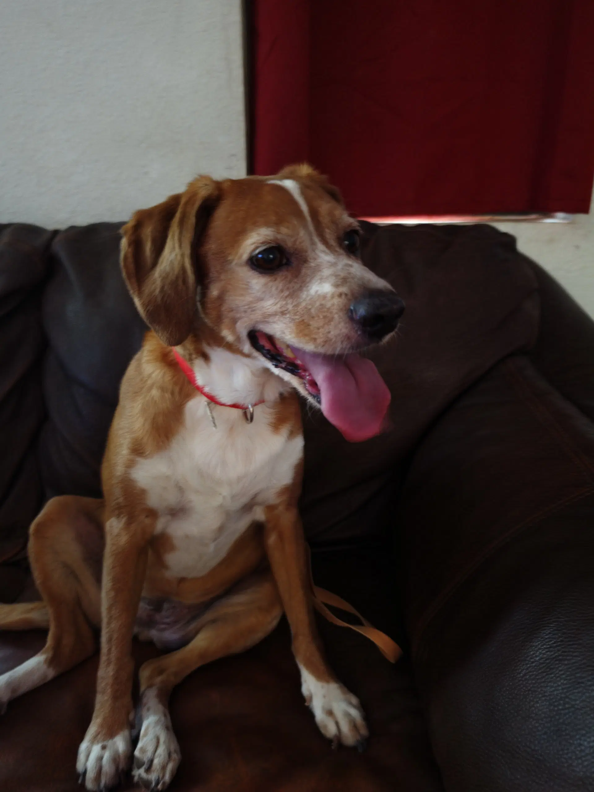 Sophie image 3