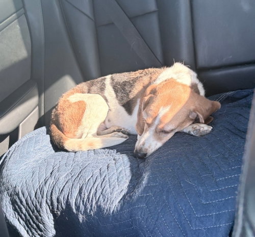Photo 5 of Peetie