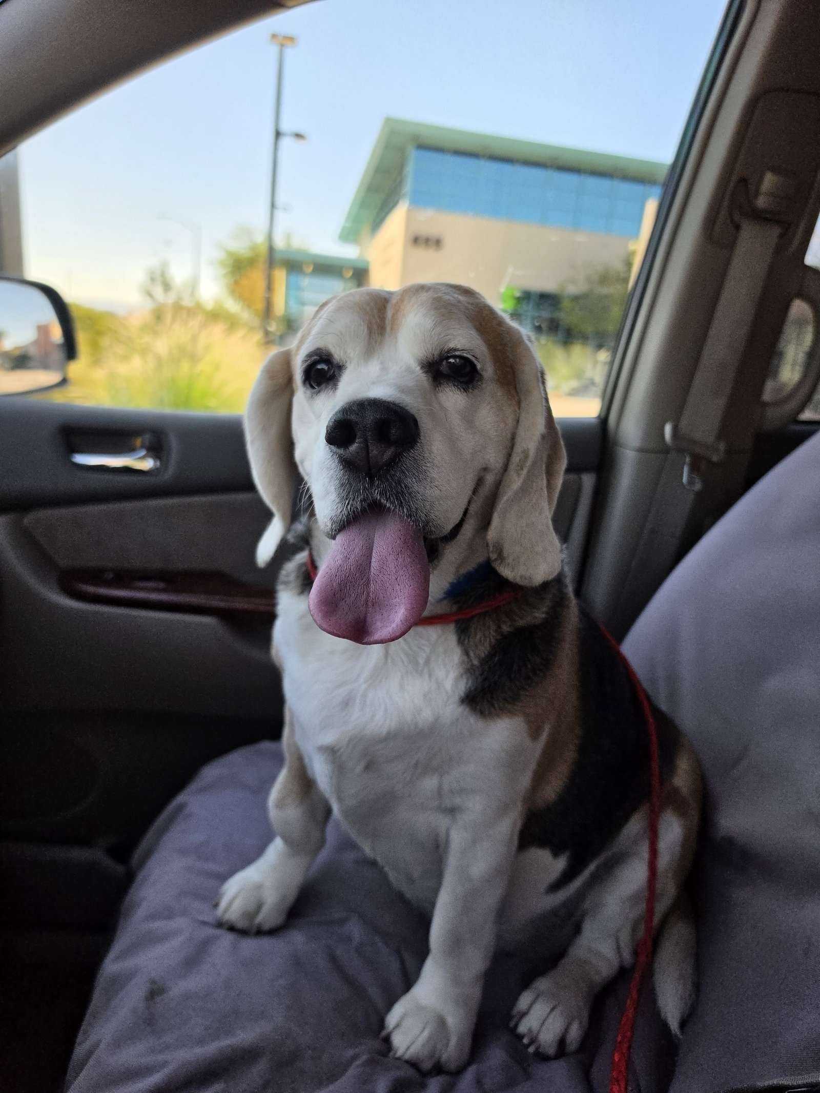 Turbo, photo 2
