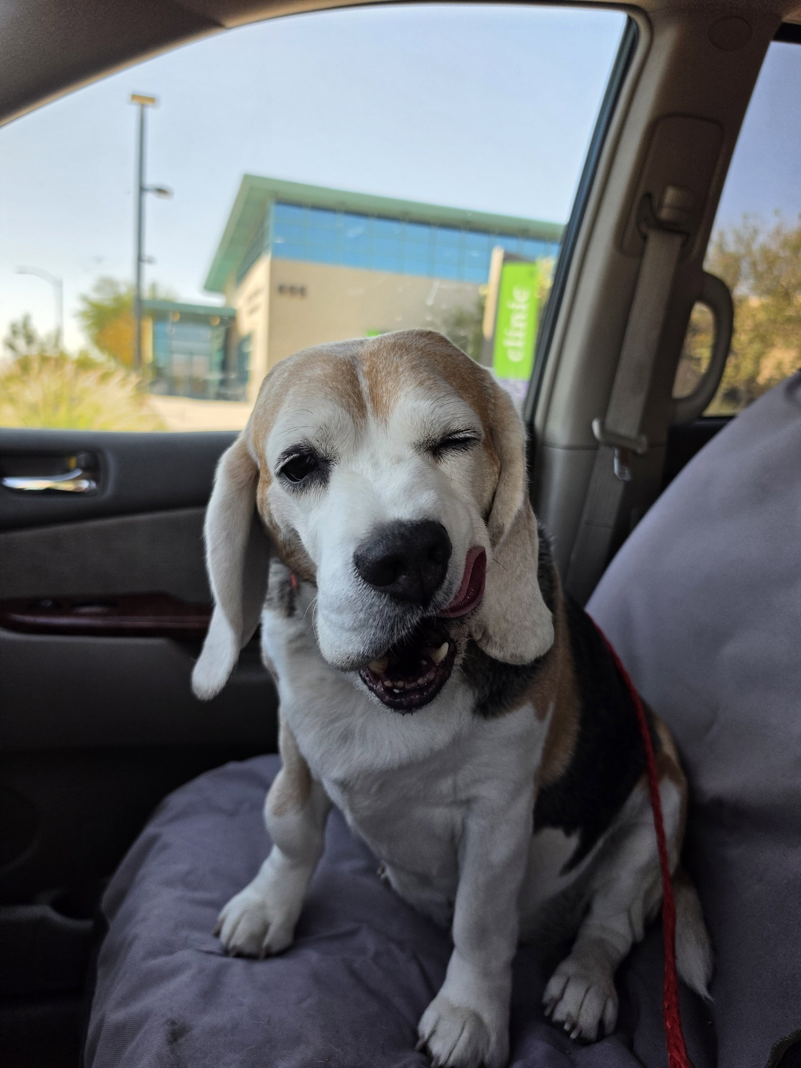 Turbo, photo 6