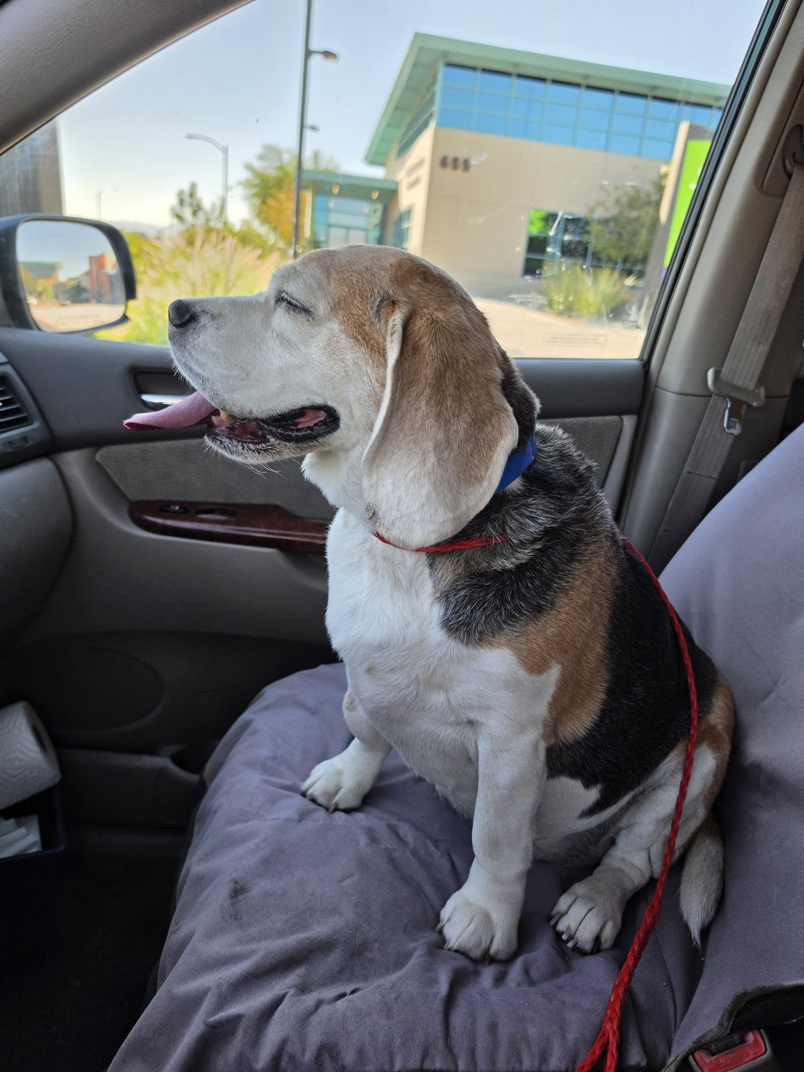 Turbo, photo 7