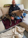 Teddy - Adopt Me! - Photo 4