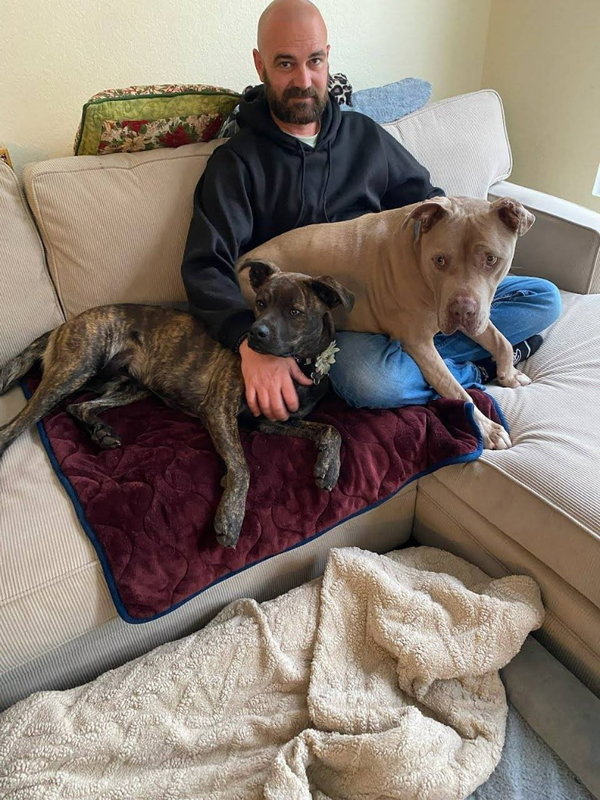 Teddy - Adopt Me!